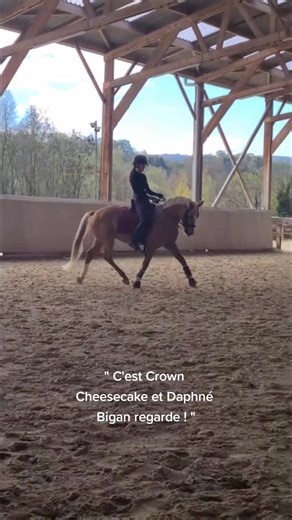 Découverte du nouveau poney ado - Crown Cheesecake