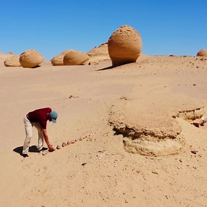 2.6K views · 10K reactions | What is this whale skeleton doing in the Egyptian Sahara Desert? | NOVA l PBS | Facebook
