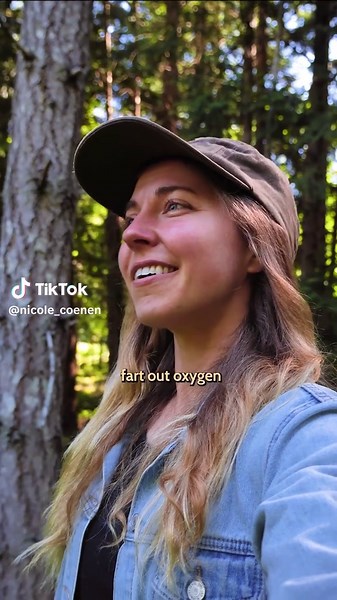 Trees and Their Essential Role in Oxygen Production