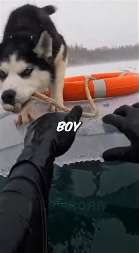 I Saved Him, Then He Saved Me... 😭❤️