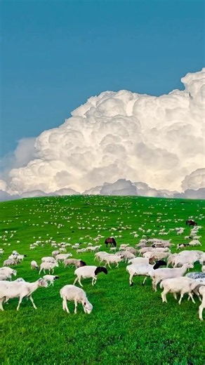 Places on earth 🌎 That don't feel real 🤯🔥#shorts #travel #unrealplaces #nature #explore #adventure