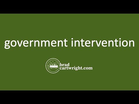 What is Government Intervention? | Introduction | IB Microeconomics | IB Economics Exam Review