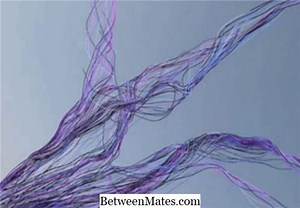 Différence entre PST et PDT Différence entre - Autres 2025