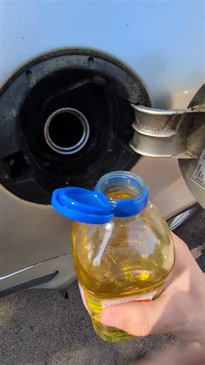 Running my old Skoda on veg oil - is it cheaper than diesel? ⛽ 🤔