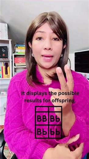 Punnett Square / Science / Genetics