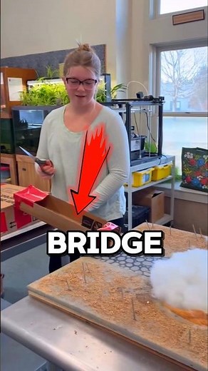 Smart Bridge Design 🤯