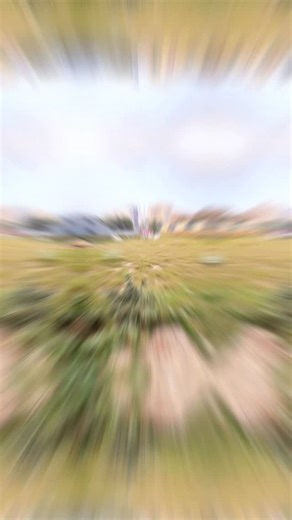 Harmony One of One is envisioned as a low-density luxury development that combines modern design with urban convenience. Each home is crafted for maximum comfort and privacy, offering expansive layouts, premium finishes, and natural light-filled spaces. With state-of-the-art lifestyle amenities, landscaped open areas, and wellness-centric facilities, the project aims to create a residential environment that balances relaxation with sophistication. Harmony Infra, founded in 2007, is a reputed rea