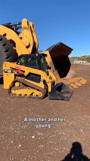 Nature is beautiful. | Aaron Witt