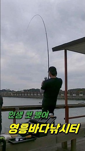영흥바다낚시터_병어 #fishing #영흥바다낚시터 #바다낚시터 #대부도낚시터 #방조제낚시 #낚시 #바다유료터 #유터낚시 #낚시 #생활꿀팁 #영흥도