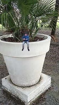 Im on fire (Bruce Springsteen) #ukulele #cover #acoustic #music #imonfire #brucespringsteen