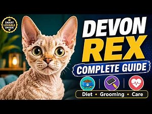 Devon Rex Cat Complete Guide | Personality, Diet, Grooming & Care Tips