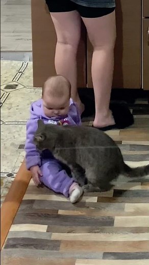 Cat Calms Down a Baby || ViralHog