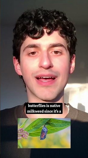 Plant Native Milkweed