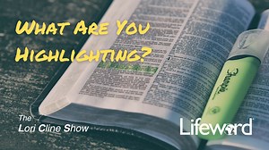 8.4K reactions · 20 shares | What Are You Highlighting? The Lori...