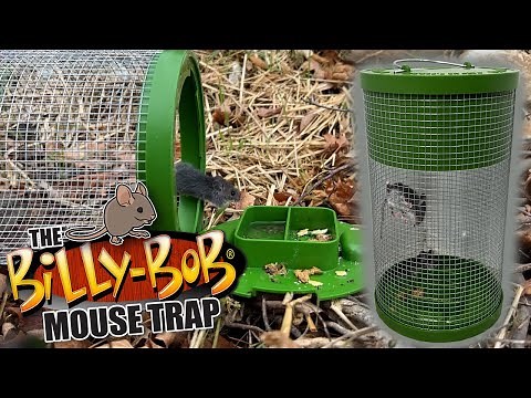 Billy Bob Mouse Trap - Multi-Catch Live Trap