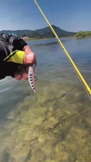 Find Start Flyfishing #bass #fishing #fullmoon #outdoors #river #kayak | Deena Holland