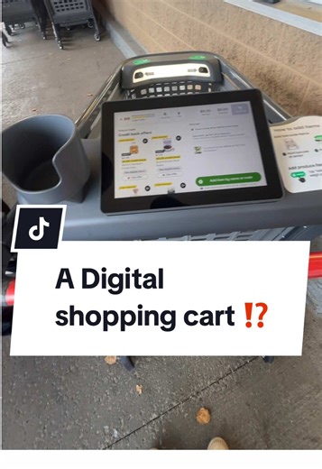 Innovative Self-Checkout Shopping Cart Experience