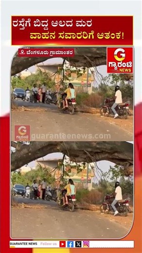 ರಸ್ತೆಗೆ ಬಿದ್ದ ಆಲದ ಮರ ವಾಹನ ಸವಾರರಿಗೆ ಆತಂಕ! | Guarantee News