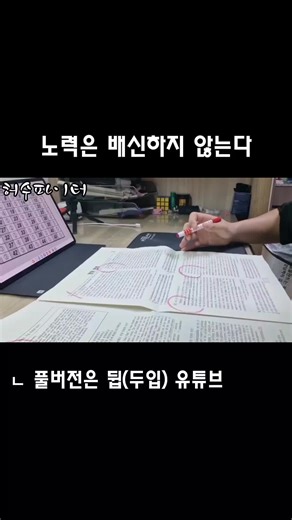 영어 5모 채점 브이로그: 공부하는 서울대생의 하루