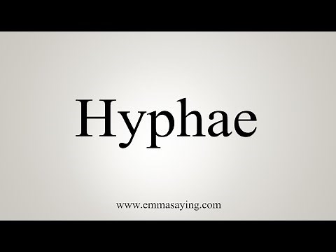 How To Say Hyphae