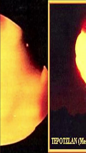 NASA Expert Analyzed This UFO Photo. His Conclusion Will Shock You #alien #uap #unexplained