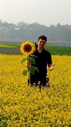 সূর্যমুখী ফুল নিয়ে দাঁড়িয়ে সরিষা বাগানে