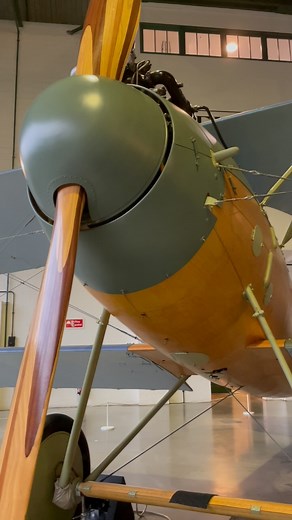 Albatros Flugzeugwerke D.Va D.7343 - a beautiful replica built by The Vintage Aviator Limited. #ww1 #ww1history #ww1aircraft #albatros #warbirds | Daniel J Wheatcroft