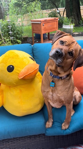 37K views · 1.7K reactions | His eyes at the end 梁 Send your...