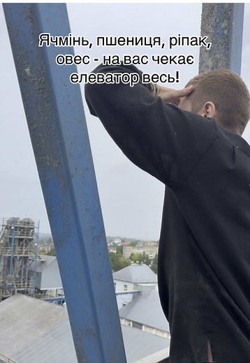 Закупівля зернових та олійних культур в Україні