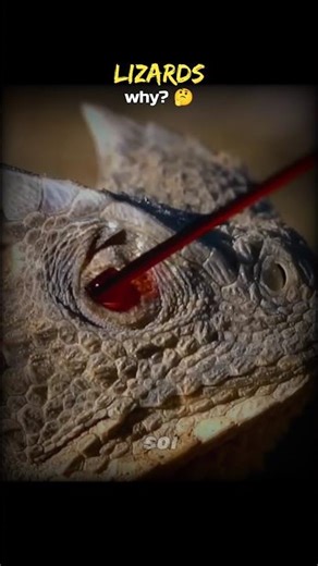 Human's Blood vs Animals' Blood 💀🩸 #Shorts #Space #Biology #Science #Animals #Astronomy #Earth