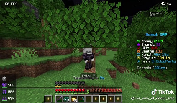 Exploring Donut SMP: My First Adventure