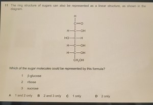 11 The ring structure of sugars can also be represented as a li... | Filo