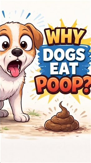 Why Dogs Eat Their Poop — Science Explained