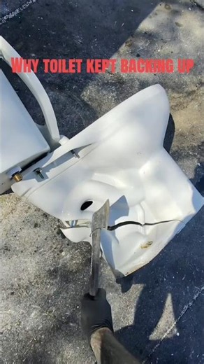 Why This Toilet Kept Backing Up… The Reason Was INSANE! 🚽😳
