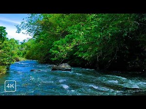 LIVE RIVER FLOW ASMR – CALMING NATURE SOUNDS FOR DEEP SLEEP, MEDITATION & FOCUS