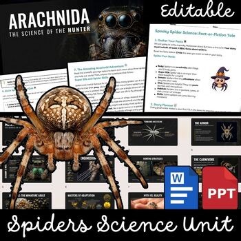 Spiders Unit Science Halloween | All About Spiders, Facts, Life Cycle Activities