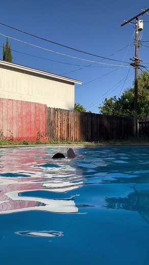 One margarita 🤝🏼 synchro #givemeonemargarita #synchronizedswimming #artisticswimming