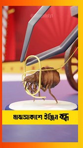 How A Flea Circus Worked 😮 | 3D Mystery