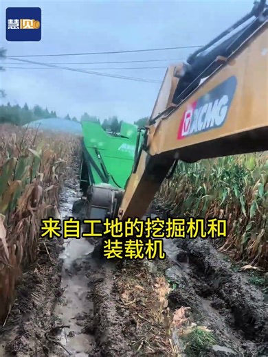 Been operating for over a decade, but this is the first time I'm using it to haul corn. ，，，，，，