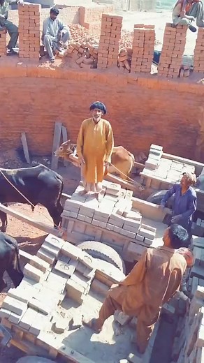 BEL wala Banda dance kar raha hai | Har fun video