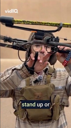 Limb-Driven Rest: The Secret to Better Arrow Flight! #archery #compoundbow #outdoors #hoytarchery