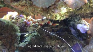 shrimp on the grill recipe