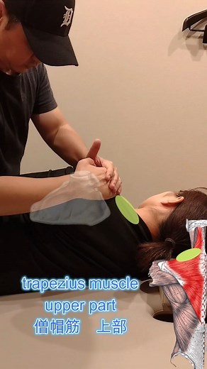 shuhei nakai on Instagram: "Stretching & Mobilization 〇Scapular subtraction ↓ upper trapezius muscle 〇Stagnation movement→downward movement ↓ trapezius muscle, acromion 〇 Stagnation movement → adduction ↓ teres minor 〇 Hold the shoulder blade and abduct it ↓ teres major 〇Free the scapula and abduct it ↓ latissimus dorsi 〇Scapula, lowering, adduction ↓ serratus anterior 〇Shoulder girdle relaxation All operations are performed with the hand on the chest side, and the shoulder blade side simply coo