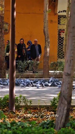 بزرگ‌ترین حسرت زندگی؟ قدر ندونستن آدم‌ها:چرا وقتی از دست میره، قدرشو می‌فهمیم؟#دوست #اصفهان #shorts