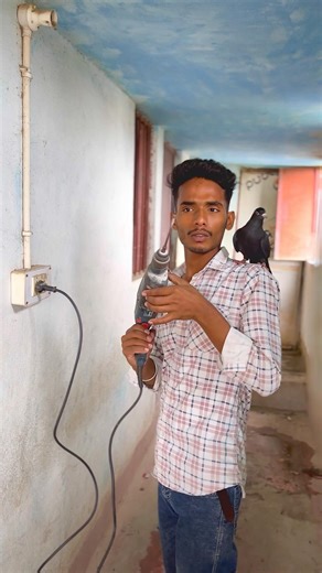 Aankh Me Dhol Parne Sa Kabutar Bacha Liya 😭 #pigeons #reels #kabootarba #shorts #youtubeshorts