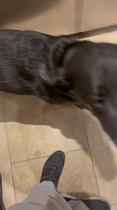 My ❤️ | Tom Felton