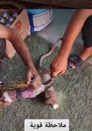 Mechanical Repair Work on Grassy Surface