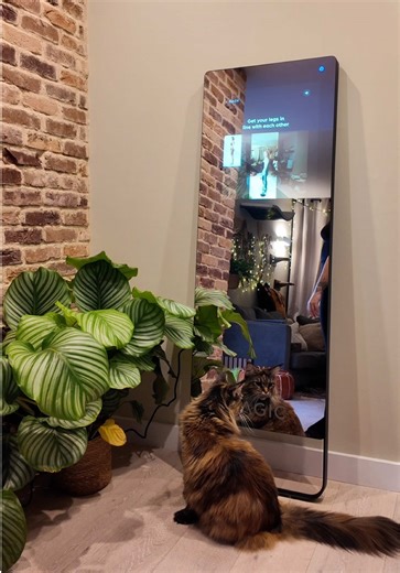 The sound of smart fitness at home. #MAGICmirror #fitnessathome