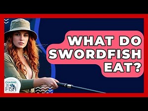 What Do Swordfish Eat? - Chasing Big Fish