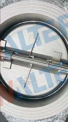 🔥 Walter DDCV Dual Plate Check Valve: DN40-DN1000, Custom Backflow Protection!